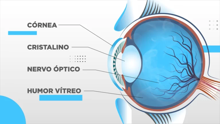 Série Explicativa sobre o Glaucoma – Pfizer