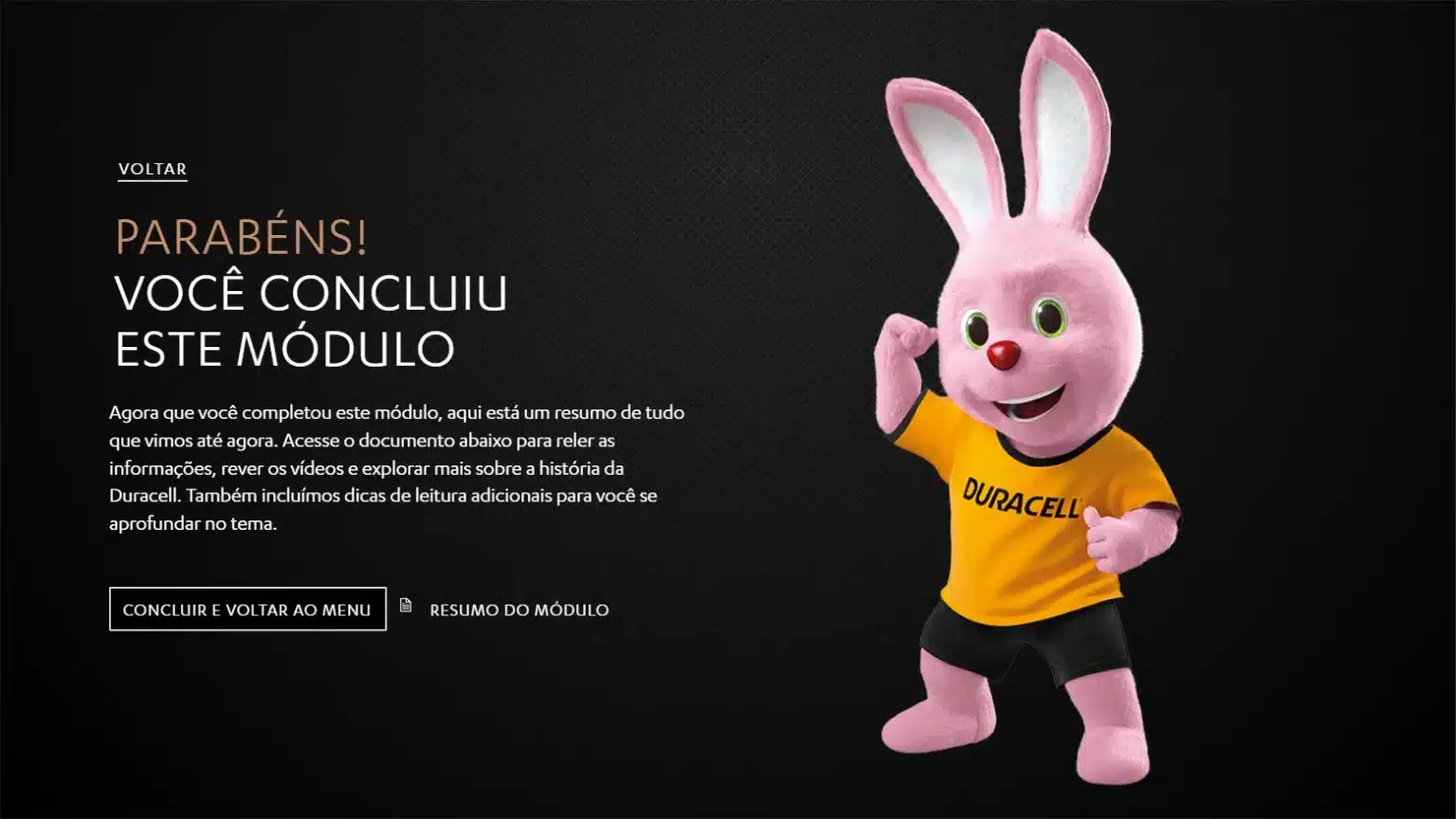 E-learning Interativo de Onboarding – Duracell